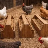 Wood chicken feeder